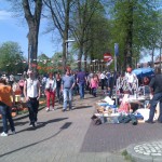 IMAG0546