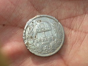 1 korona 1893 spate