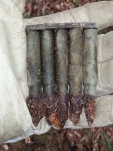 magnifying_2014-07-29_13-12-35