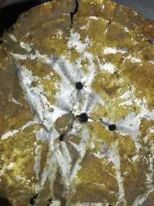 magnifying_2015-01-27_19-03-17