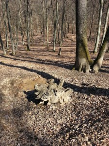 locul unde a fost ingropat2