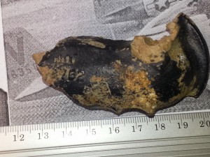 magnifying_2015-03-10_13-35-09