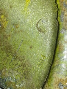 magnifying_2015-03-10_13-47-54