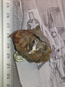 magnifying_2015-03-10_13-50-33