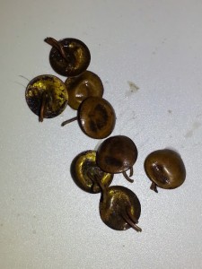 magnifying_2015-04-26_19-30-57