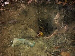 12188557_10153687199102453_2079716261_n