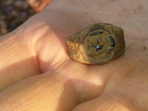 magnifying_2015-12-05_14-59-52