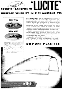 Enigma modelului Mustang-P51 cazut la Petrilaca a fost rezolvata