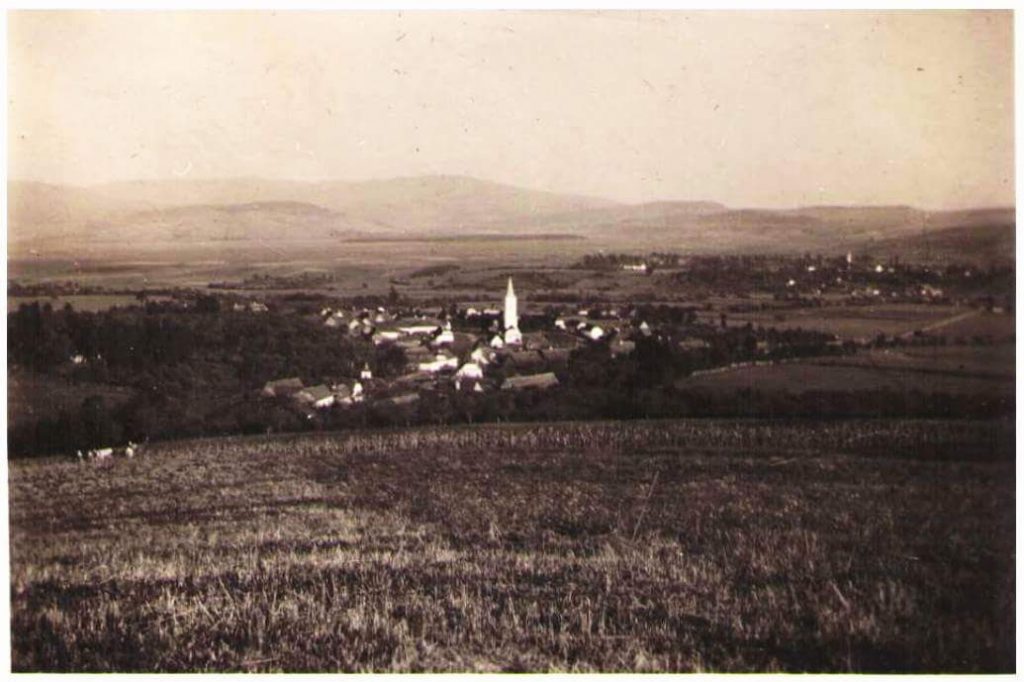 Poza padurea Budacu 1943 si Grupul de vanatoare PUMA