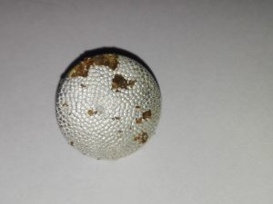 28054199_1731116423618392_1852863690_n