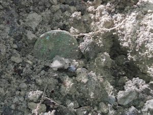 magnify_2018-04-14_12-59-49