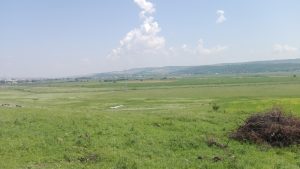 vedere-zona-de-lupta