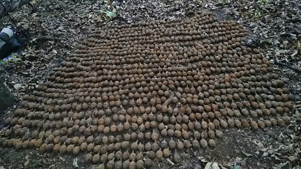 1087 de grenade defensive descoperite de membrii de la "Asociatia Detectoristilor Vrancea Eroica"