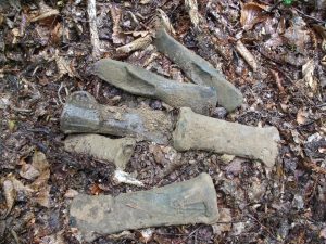 Obiecte din Epoca Bronzului descoperite de seniorii detectiei de metale la Bistrita