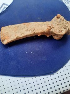 278926528_381221417348679_1205185530068129749_n