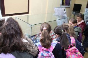 FB_IMG_1649825372831