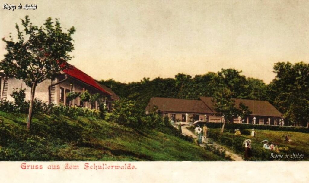 Salutări din Pădurea Schullerwald